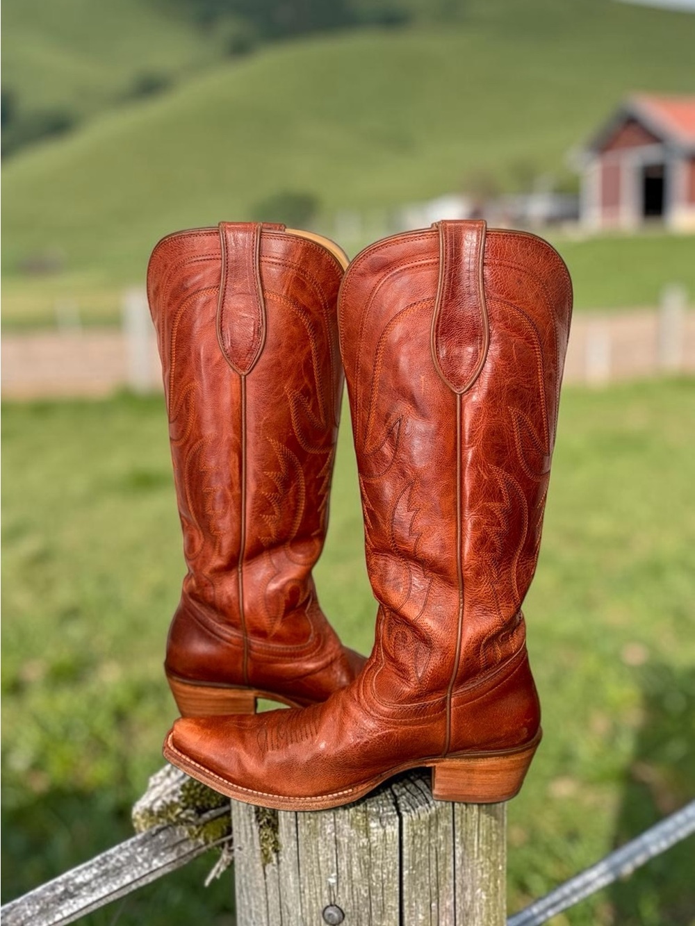 Tony Lama Derby Liz Tall Leather Cognac Western Snip Toe Cowboy Boots 8.5 - Picture 8 of 13